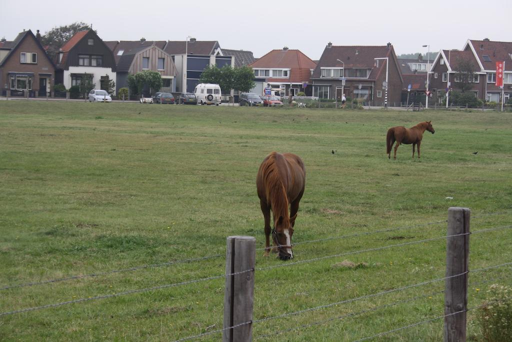 Villa 'T Haasduin Wijk aan Zee Exteriér fotografie